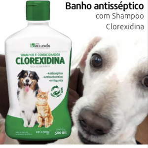 Captura de tela 2025-03-28 221409